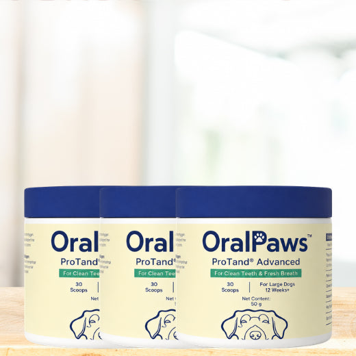 OralPaws™
